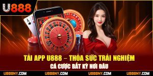 Bước 1: Kiểm tra kết nối mạng hiện tại