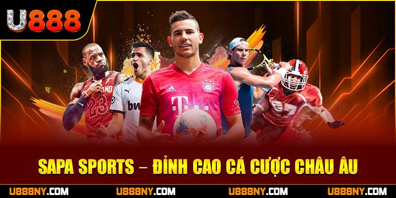 Sảnh Sapa Sports đẳng cấp hàng đầu