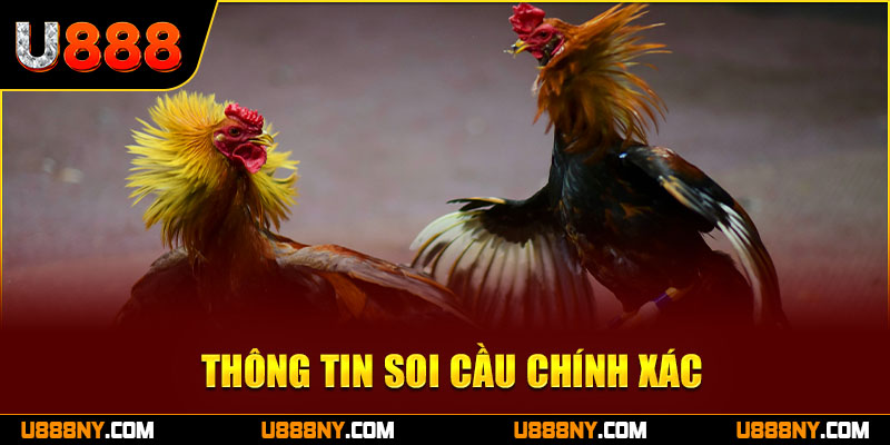 Sảnh đá gà U888 cùng các thông tin soi cầu chính xác